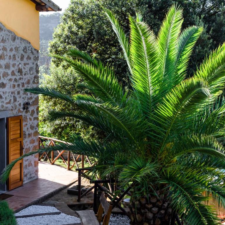 La Casetta Madonna di Morciano - One-Bedroom House - 2