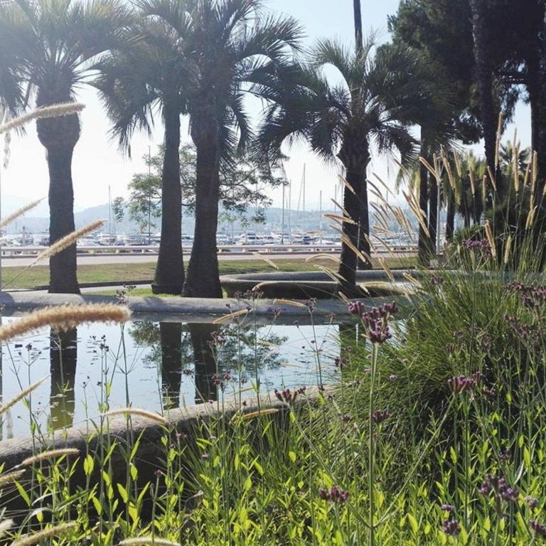 Lux Studio our swimming pool and garden - Studio - 24