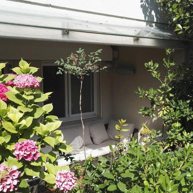 Lux Studio our swimming pool and garden - Studio - 33