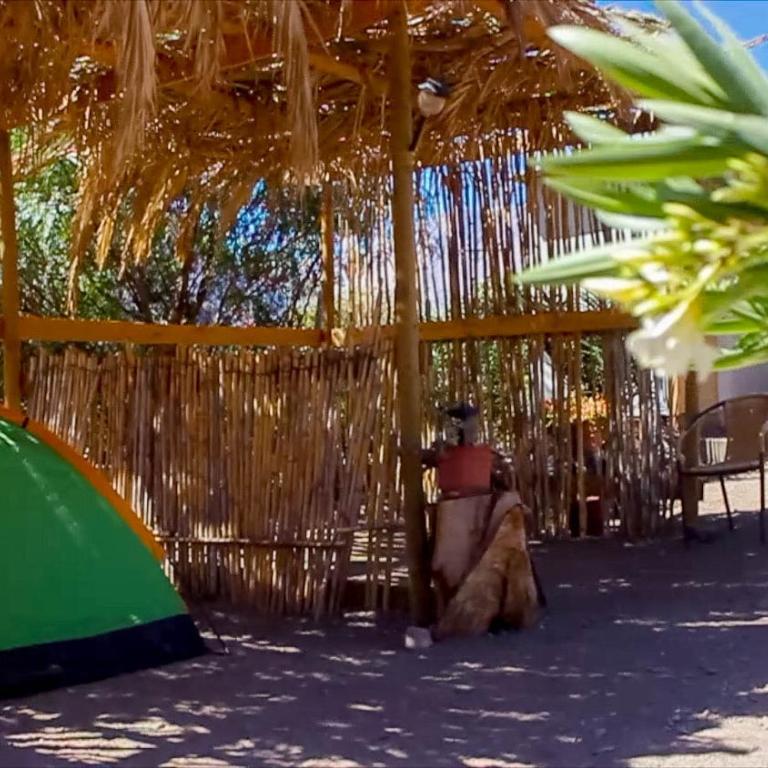 Astro Camping Elqui Experience - Camping - 1