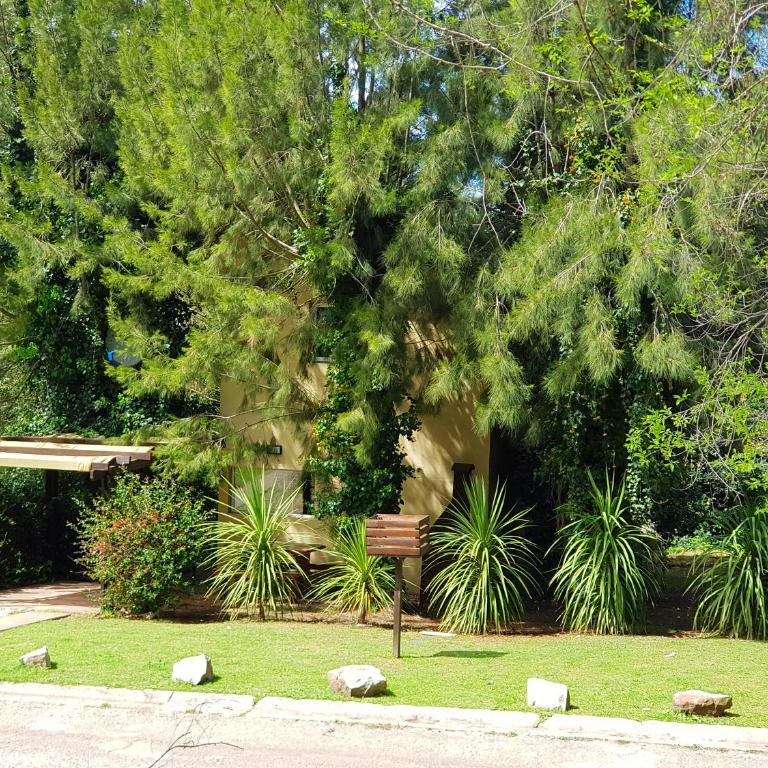 Alma & Lola - Casa de 2 dormitorios - 14