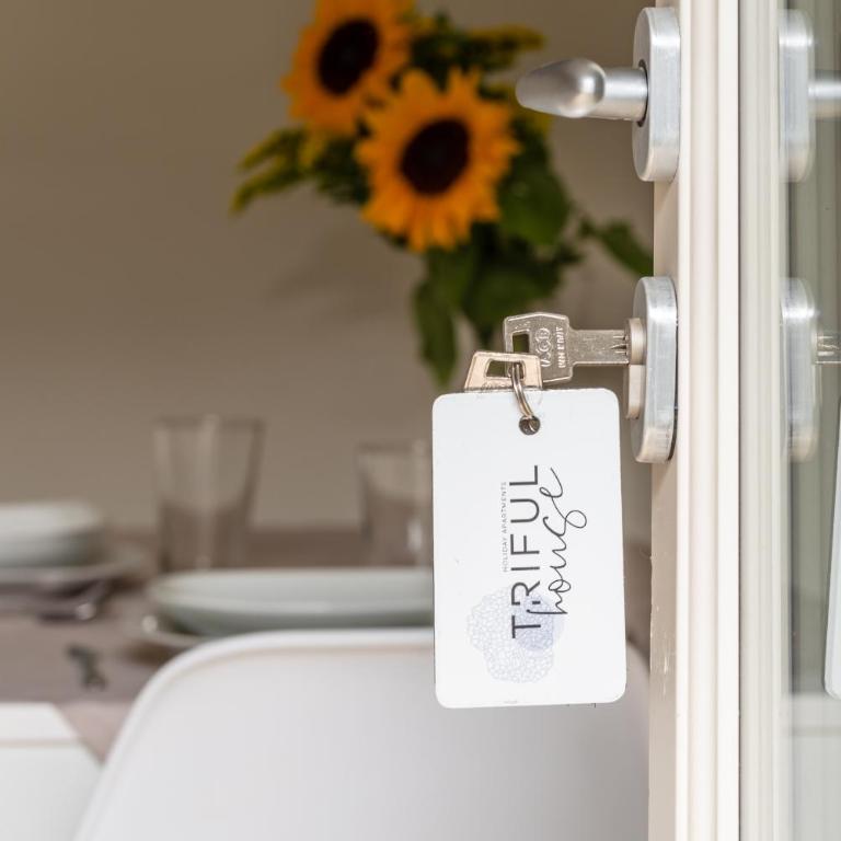trifulhouse holiday apartments - Appartamento con 1 Camera da Letto e Terrazza - 20