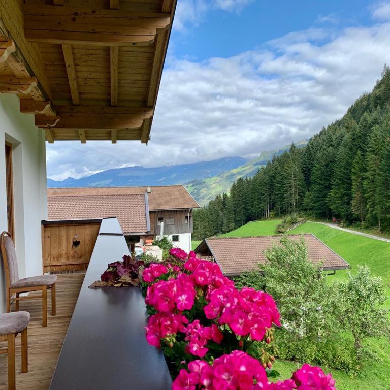 Astegger Talhof - Apartment mit Balkon - 7