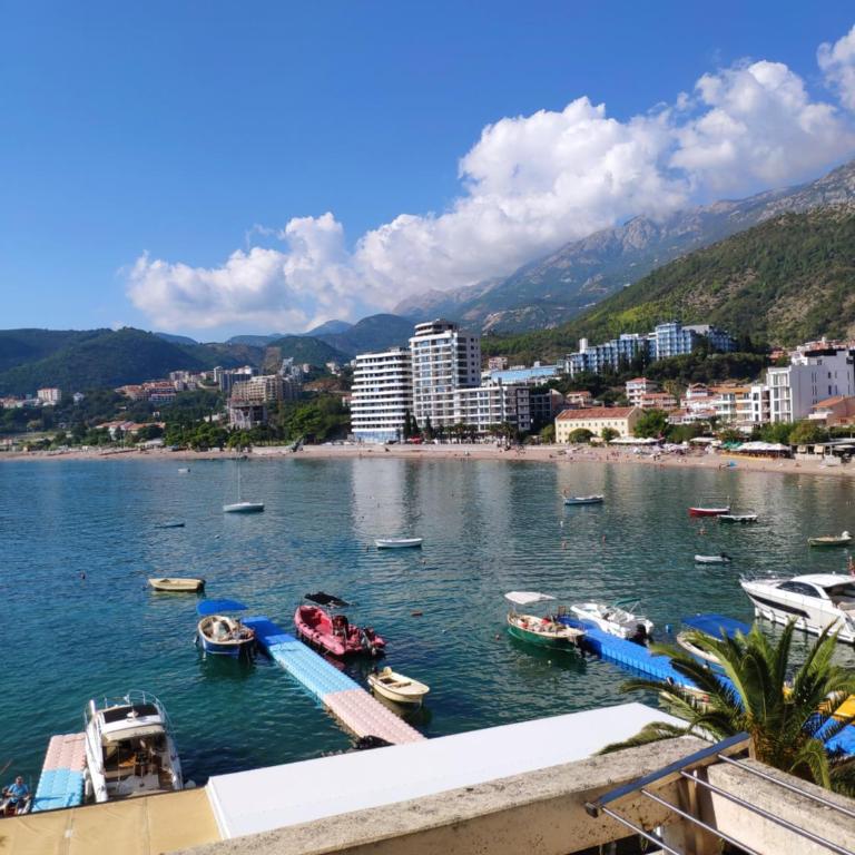 Apartments Stević - Monaco - Studio s Terasom i Pogledom na More - 17