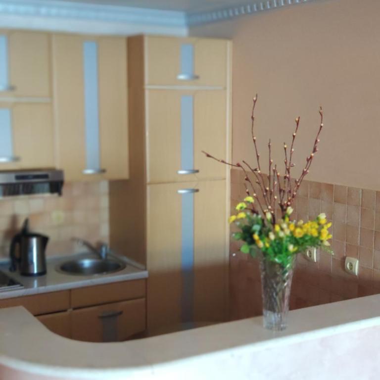 Apartments Stević - Monaco - Apartman sa 1 Spavaćom Sobom, Terasom i Pogledom na More - 6