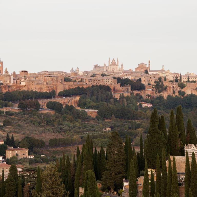 Domus Festina Lente - Appartamento - 17