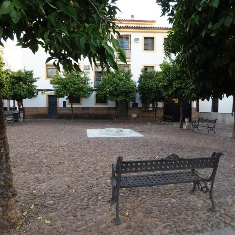 CALLE ABEJAR,PLAZA - Apartamento de 1 dormitorio - 1
