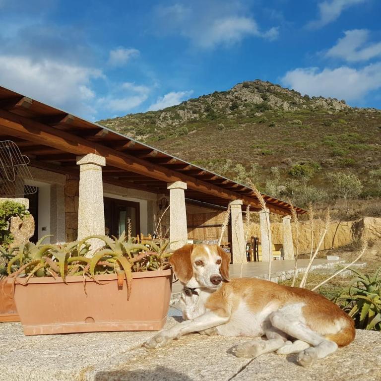 Villetta Osseddu - Casa con 2 Camere da Letto - 46
