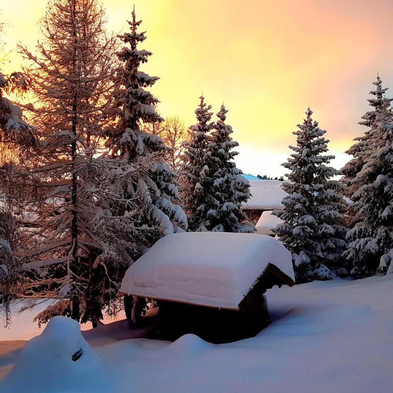 APPARTEMENT VUE SUR LES PISTES Aux SAISIES 4 - Apartment mit 1 Schlafzimmer - 25