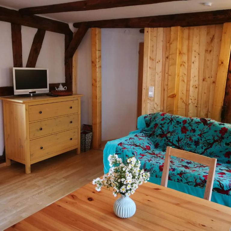 Bio-Ferienwohnung Ellensohn - Studio-Apartment - 15