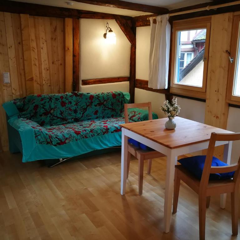 Bio-Ferienwohnung Ellensohn - Studio-Apartment - 2