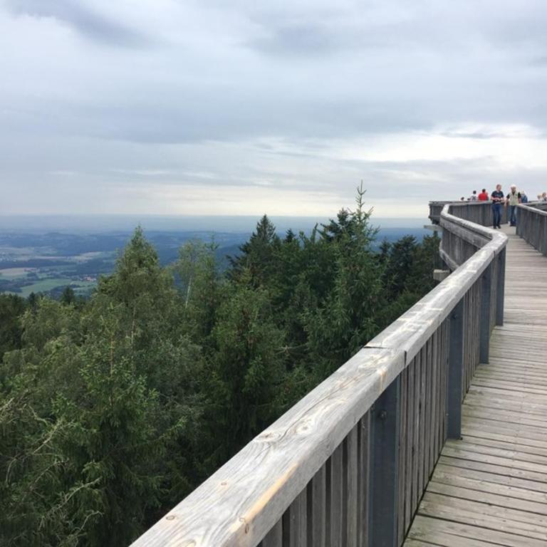 Ferienwohnung Reinhold im Predigtstuhl Resort - Apartamento de 1 dormitorio - 22