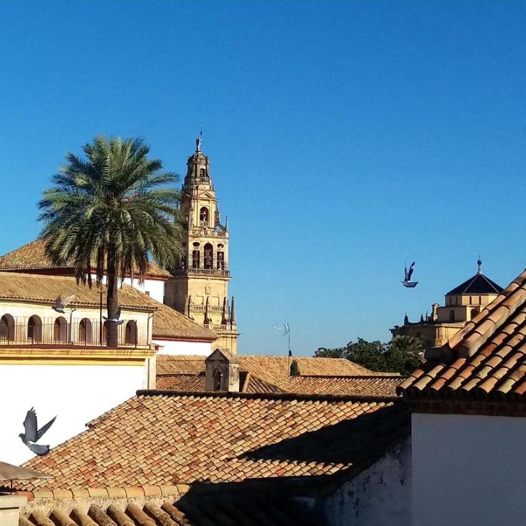 La Mirada de La Judería - Apartamento de 1 dormitorio - 1