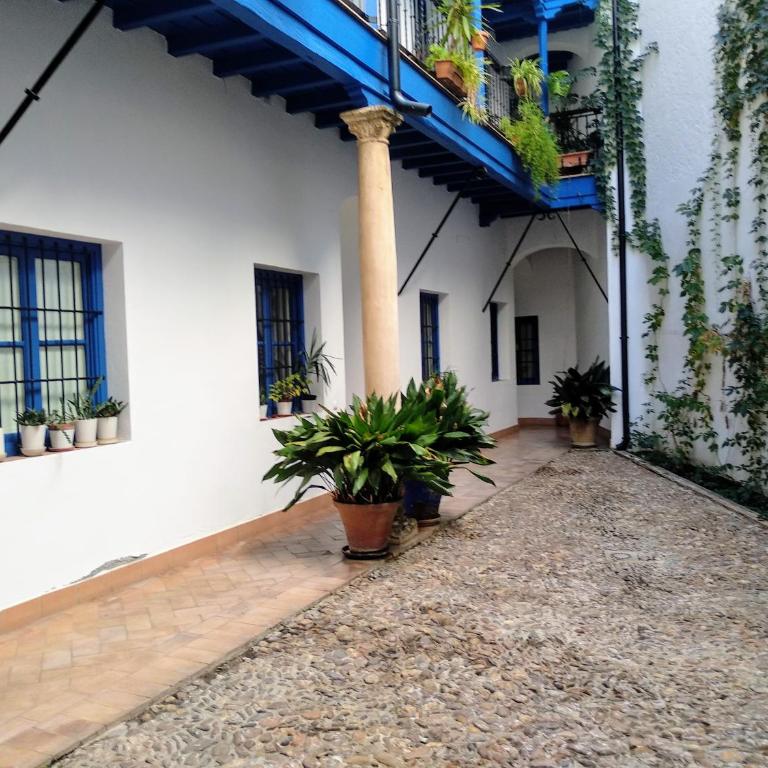 WISH SUITE JUDERIA DE SEVILLA - Apartamento con terraza - 10