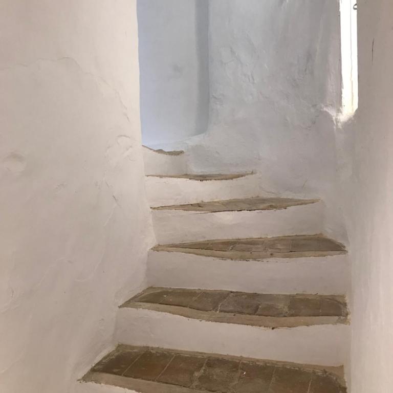 Apartamento San Juan - Apartamento de 1 dormitorio - 5
