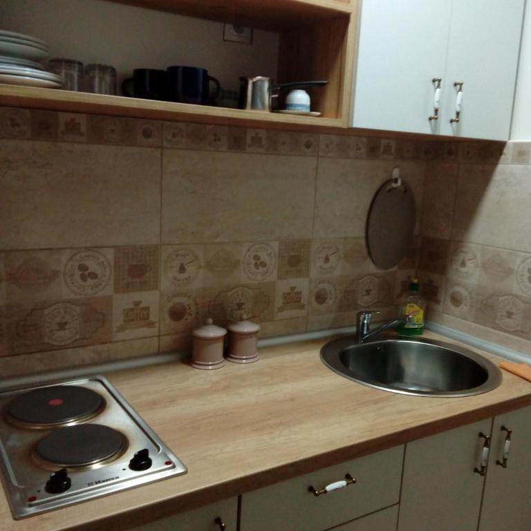 Divcibare apartmani Gavrić - Apartman Tipa "Suite" sa 1 Spavaćom Sobom - 14