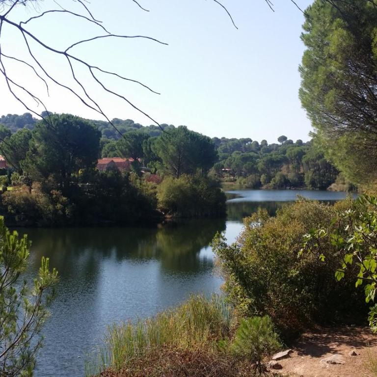 CABAÑA DE MADERA JUNTO AL LAGO LAS JARAS - Two-Bedroom Chalet - 15