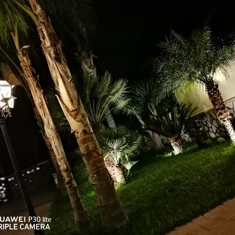 Paradise - Appartamento con 2 Camere da Letto - 33