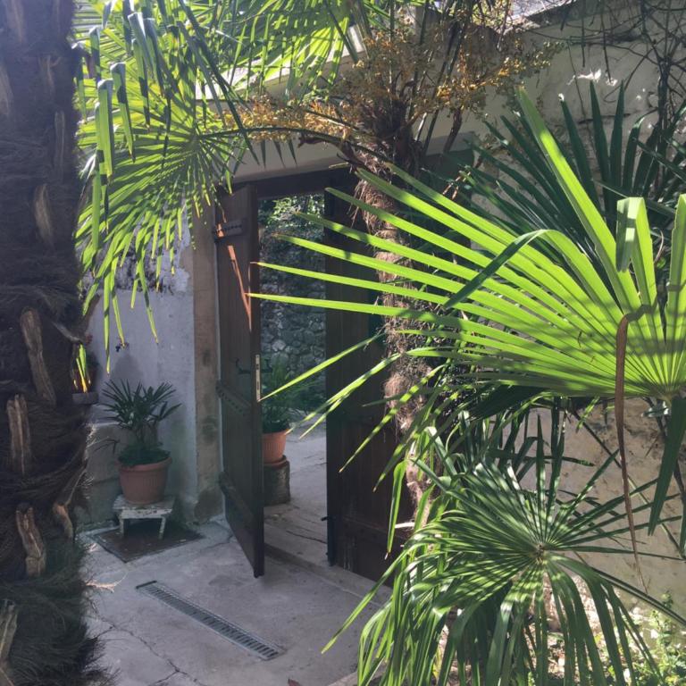 Palmera - Studio Apartment - 34