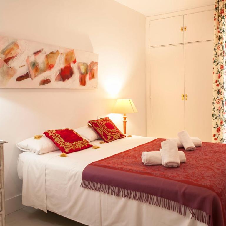 GRAN APARTAMENTO PLAZA DE ESPAÑA - Apartamento - 12