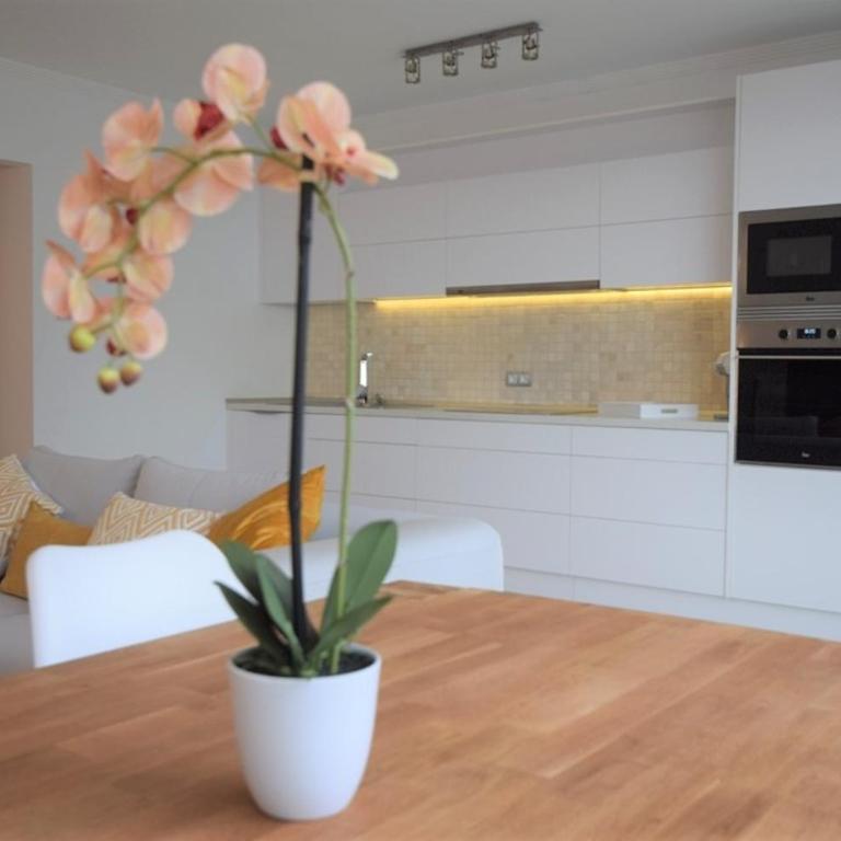 Suite Ribera del Puerto - Apartamento con vistas al mar - 3