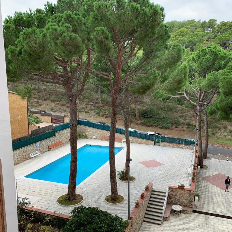 La Pineda - Apartamento de 1 dormitorio - 2