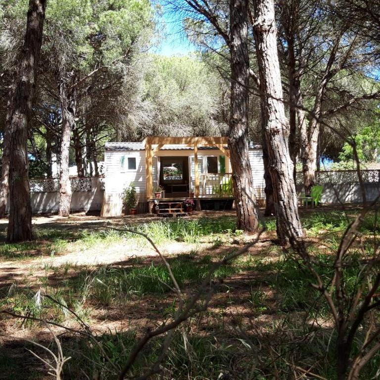 The PineForest Cabin - Casa - 14