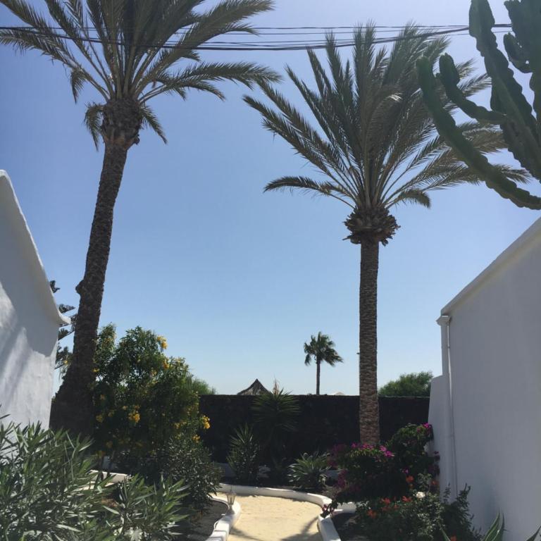 Oasis San Antonio - Apartamento de 2 dormitorios - 17
