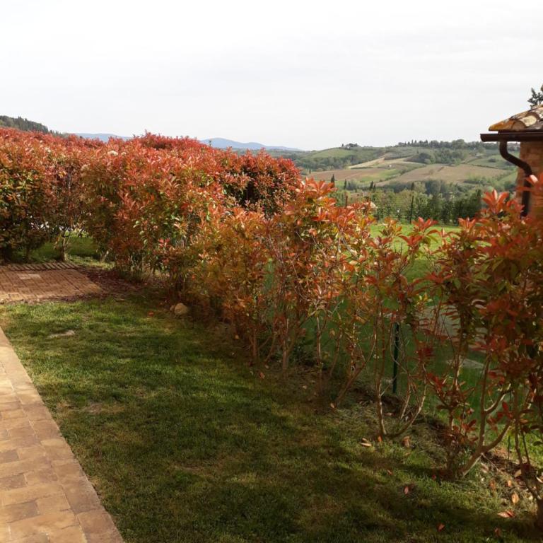 casa il pozzo - Apartment - Ground Floor - 23