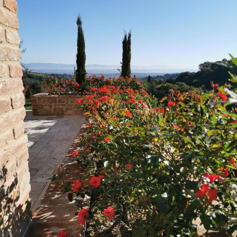 Residenza al Poggio degli Ulivi - Casa Vacanze - 6