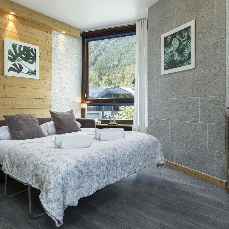Apartment Beausite, Alpes Agency, Central Chamonix, Sleeps 2-4 - Appartement 1 Chambre - 8