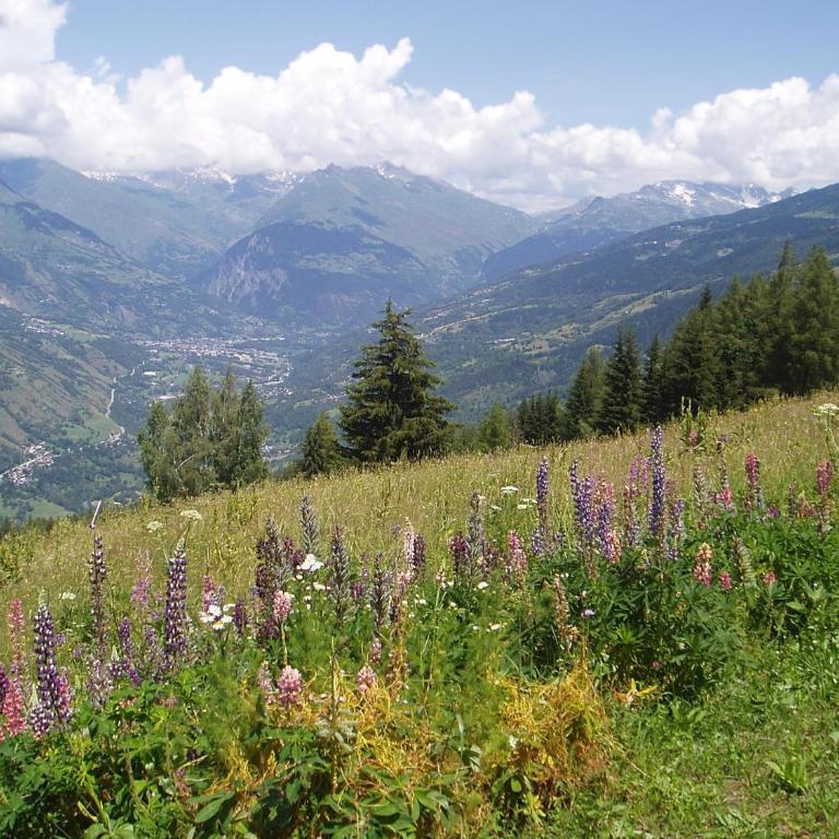 Chalet les Gentianes - Chalet (9 Personnes) - 28