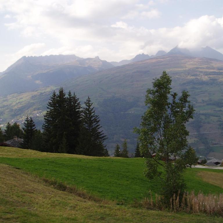 Chalet les Gentianes - Chalet (9 Personnes) - 33
