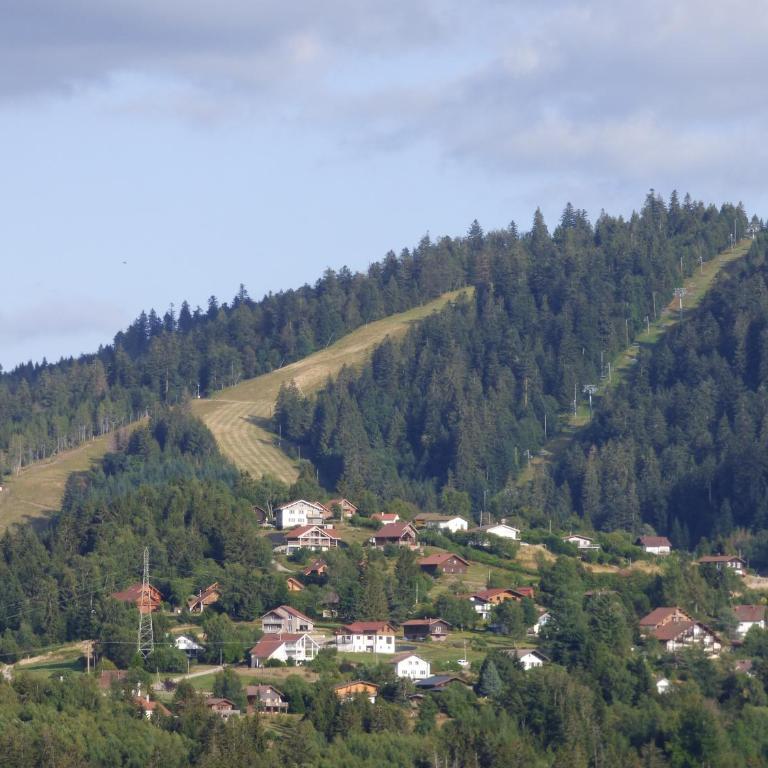 les charmes du lac Sauna et Spa - Chalet - 5