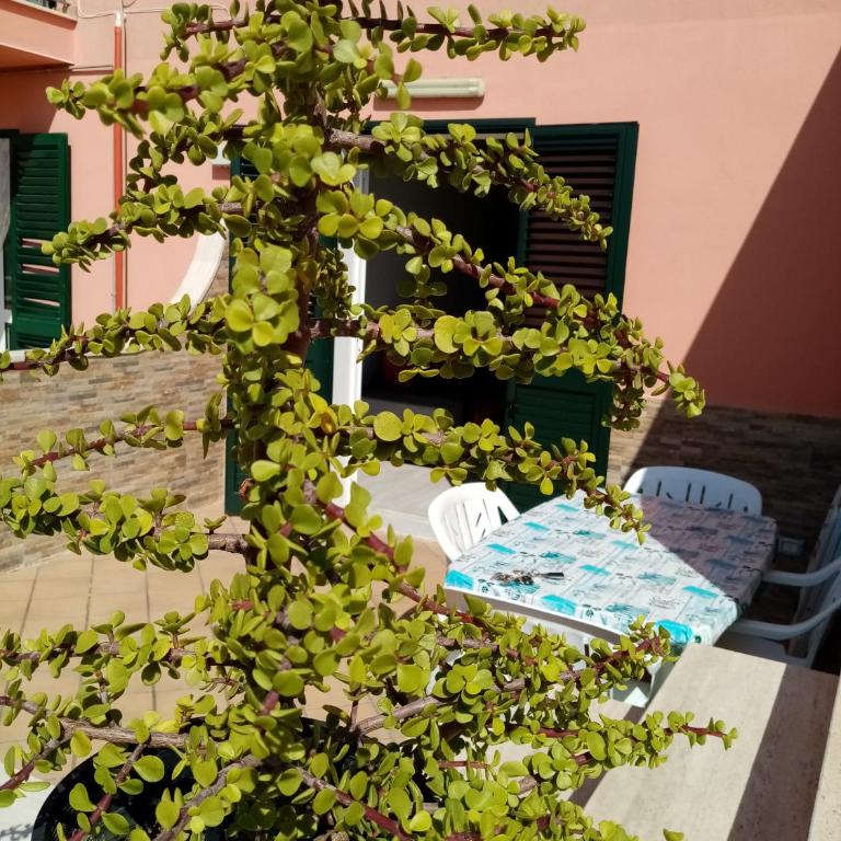 casa vacanza rosariomaria - Appartamento con Terrazza - 37
