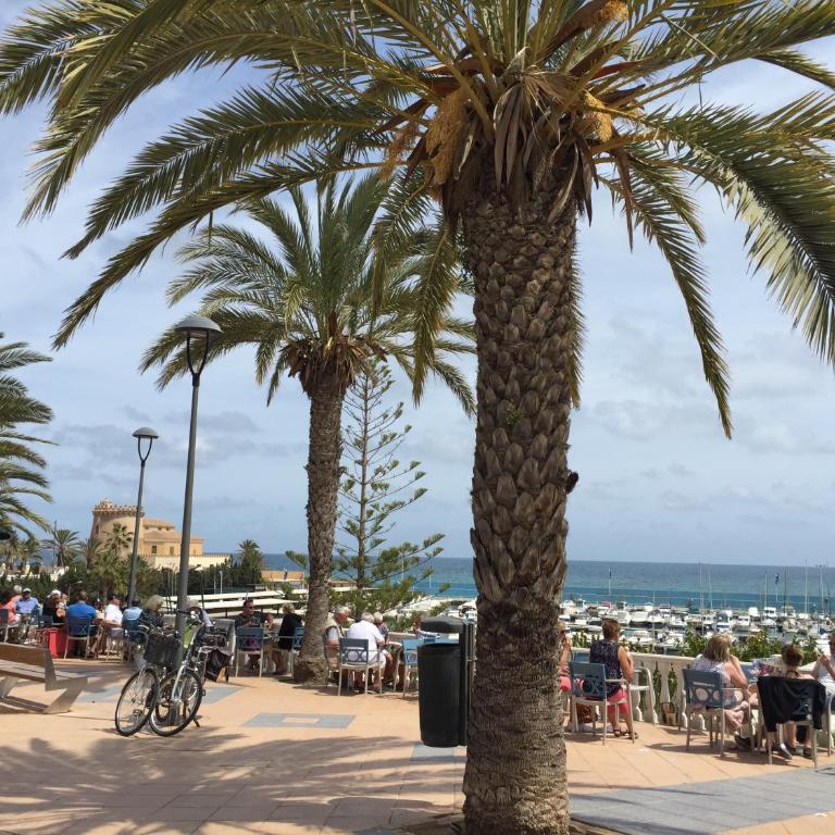 Higuericas Costa 412 - Rooftop terrace and pool view 300 m from beach - Apartment mit 2 Schlafzimmern - 30