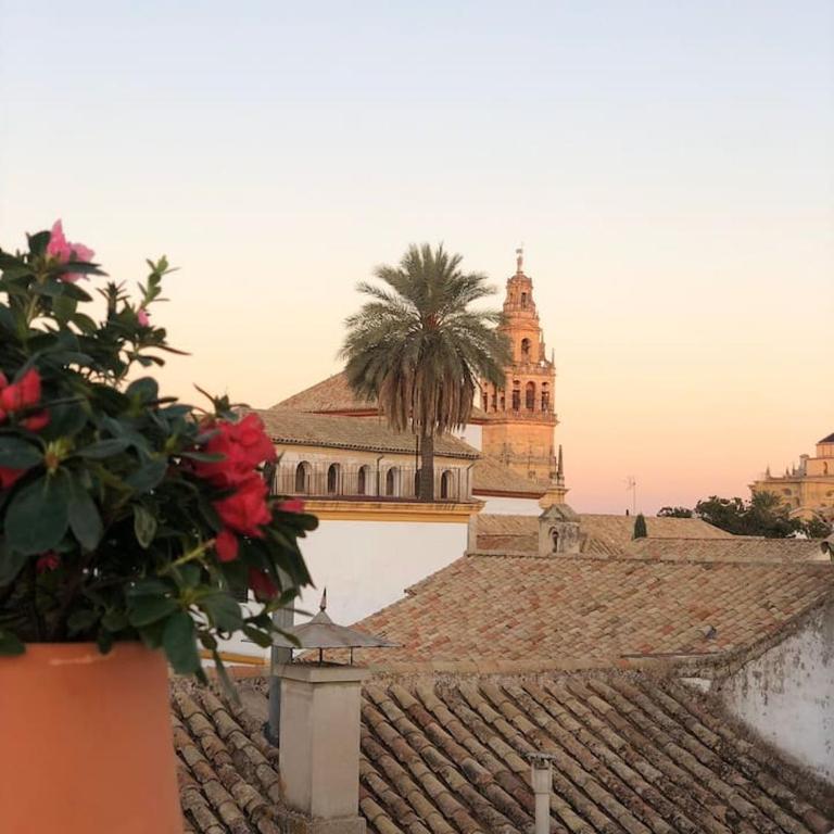 Dúplex el Espejo de la Mezquita - Apartamento de 3 dormitorios - 3
