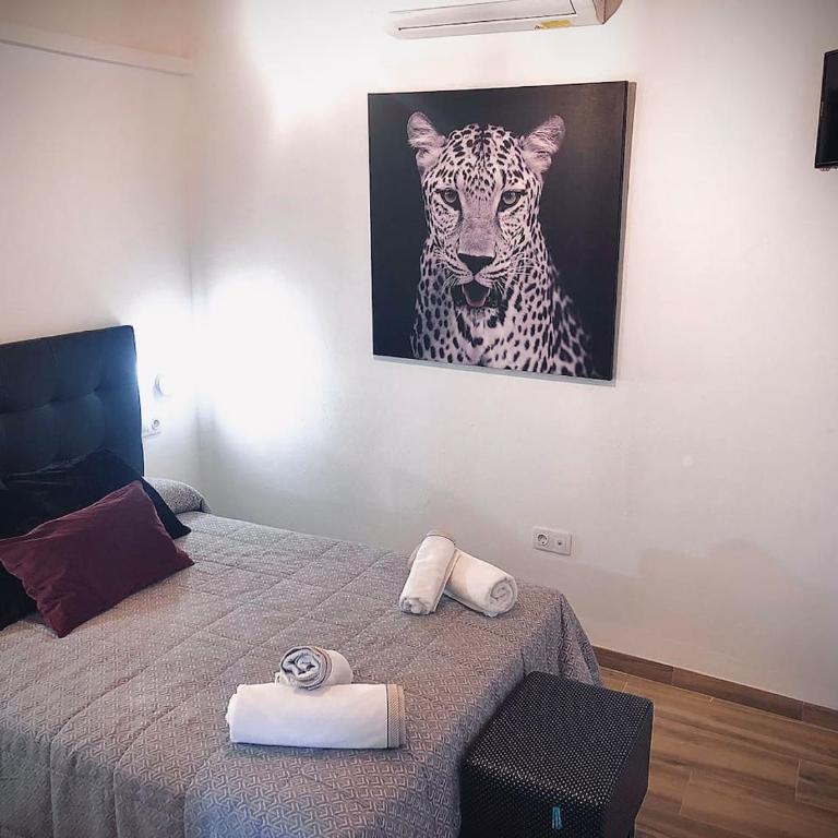 Dúplex el Espejo de la Mezquita - Apartamento de 3 dormitorios - 9