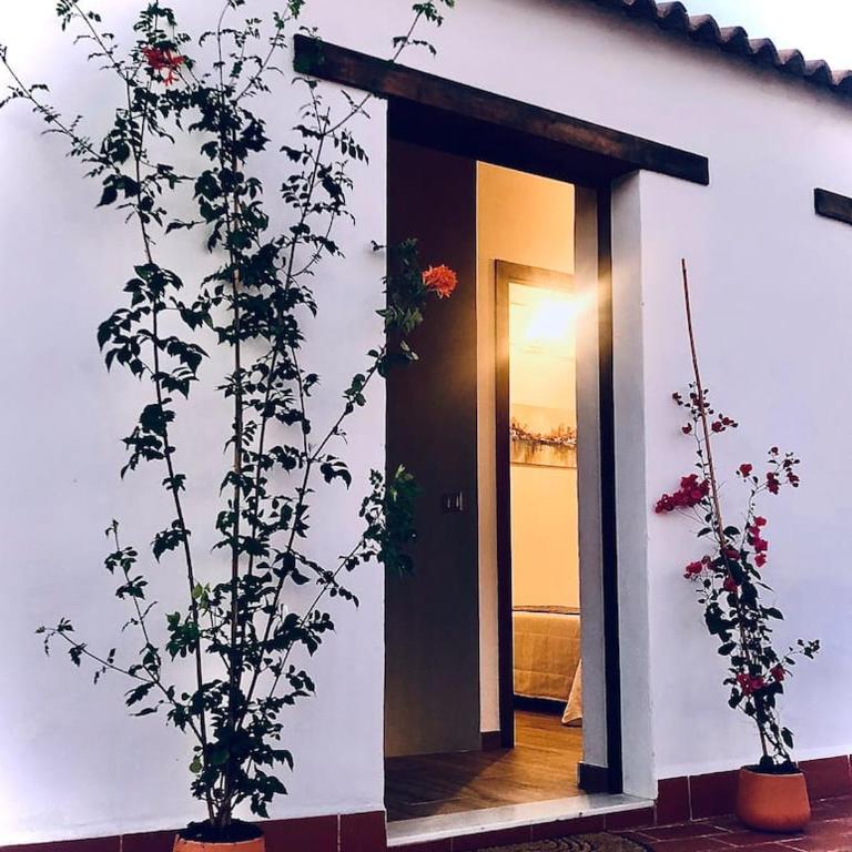 Dúplex el Espejo de la Mezquita - Apartamento de 3 dormitorios - 12