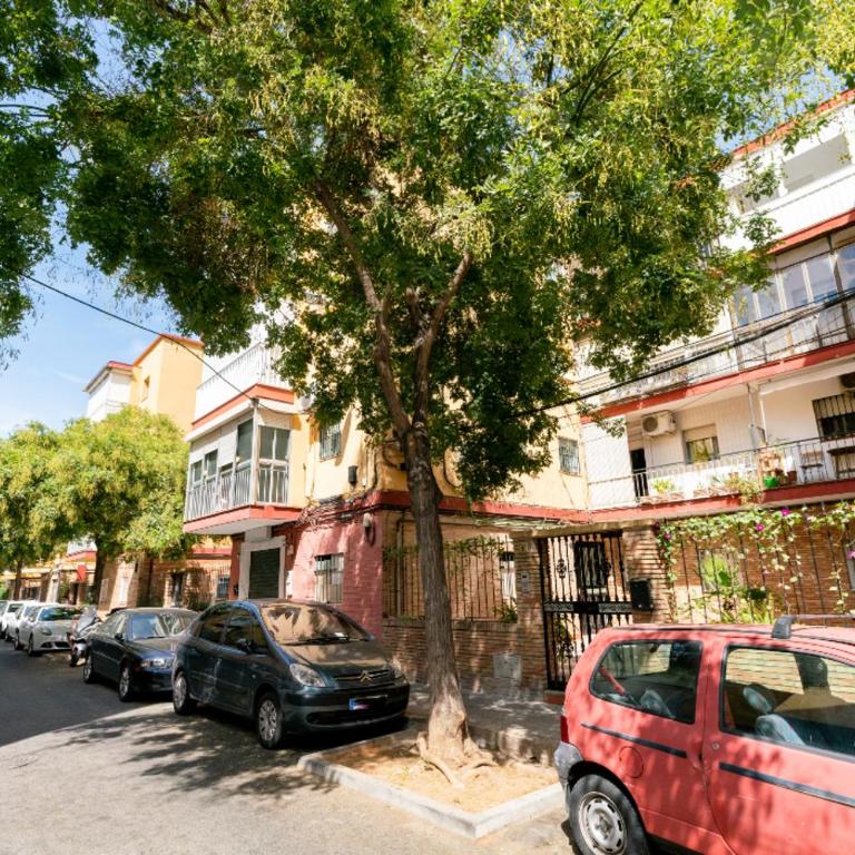 Apartamento moderno en Triana 2 dormitorios y aire acondicionado - Apartamento de 2 dormitorios - 54