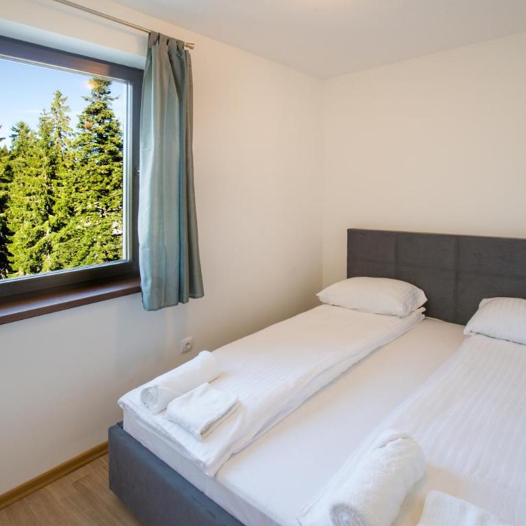 Jahorinski IZLOG - Apartment - Split Level - 3