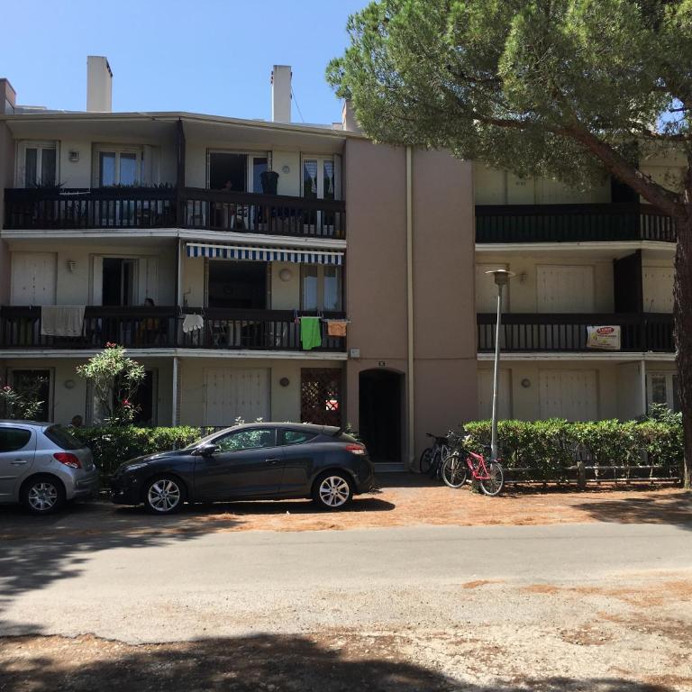 La palmeraie - Appartement - 10