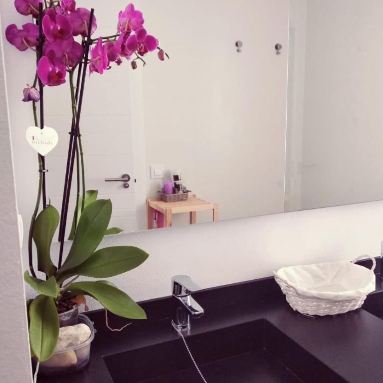 Alojamientos 4nudos - Apartamento Estudio con vistas al mar - 22