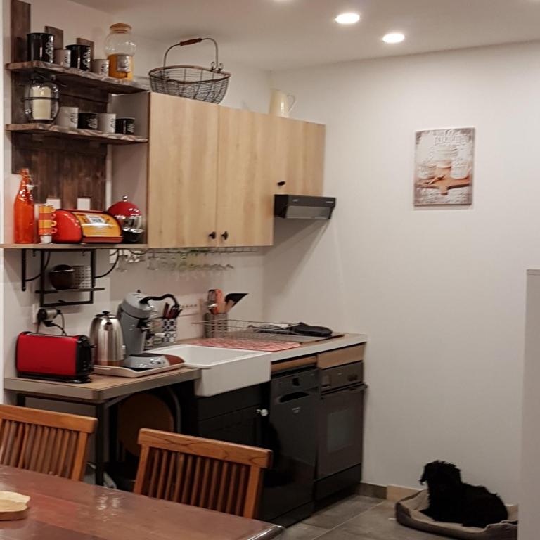 LES VAGUES, plage et centre à pied, terrasse rez-de-ch, parking gratuit, lits faits, animal bienvenu - Apartment - Erdgeschoss - 25
