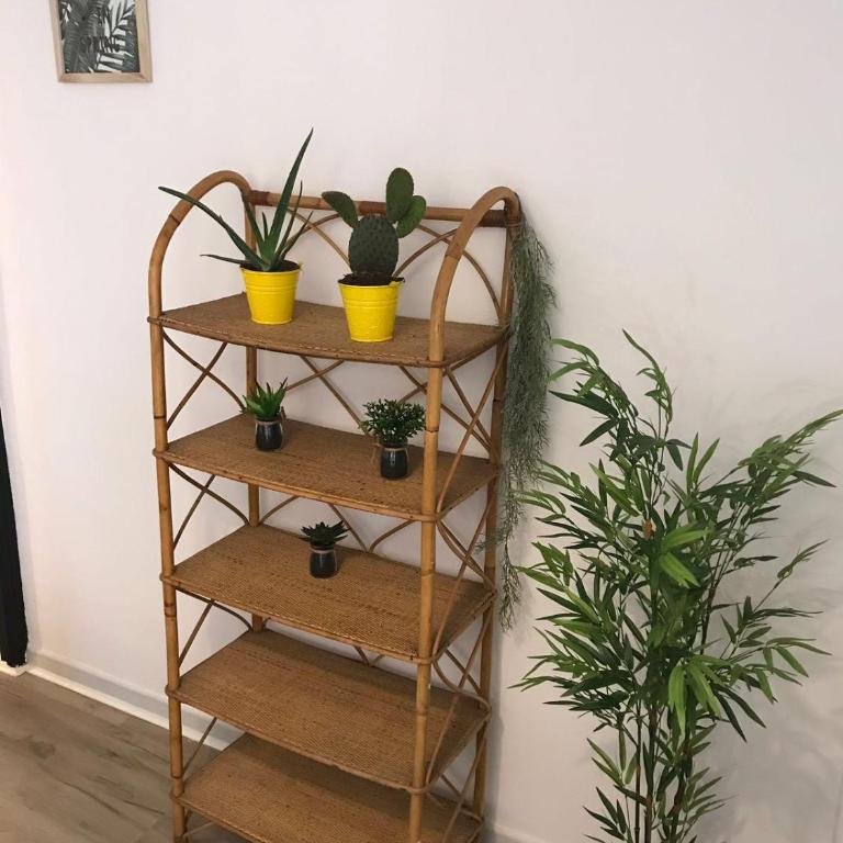 Cactus 2 bedroom Apartment on Calle San Miguel Minutes from the beach BY NAMASTE ELITE - Two-Bedroom Apartment - 34