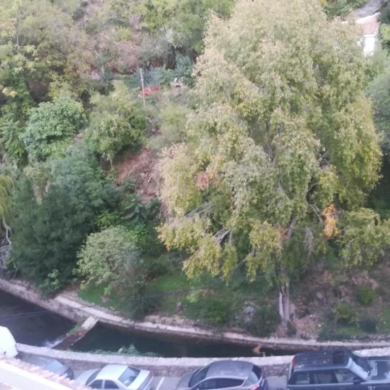 VFT Sendero Cerezuelo - One-Bedroom Apartment - 19