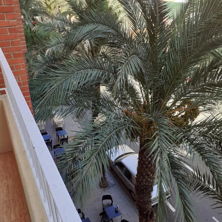 Pension Arena Alicante - Chambre Double - 14