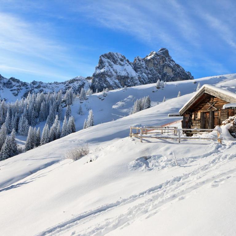 Alpenstern Ferienwohnung - Apartment mit 2 Schlafzimmern - 18
