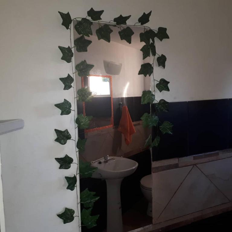 Hospedar - Apartamento - Planta baja - 3