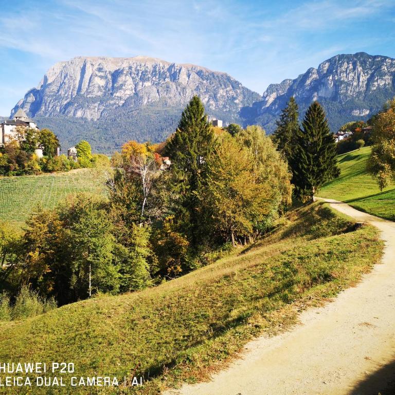 Apartments Schlossblick Naturholz - Appartamento con 2 Camere da Letto e Balcone - 42